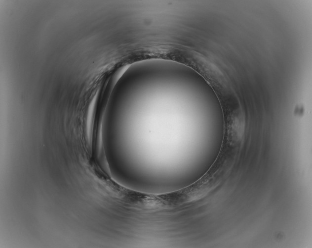 X0000091080608200708061338