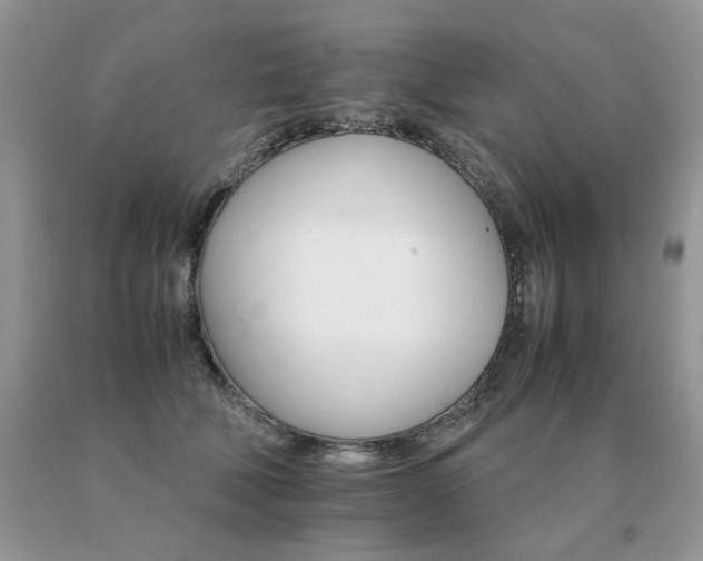 X0000091080610200708061338