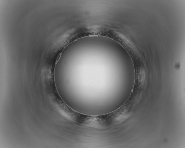 X0000091080611200708061338