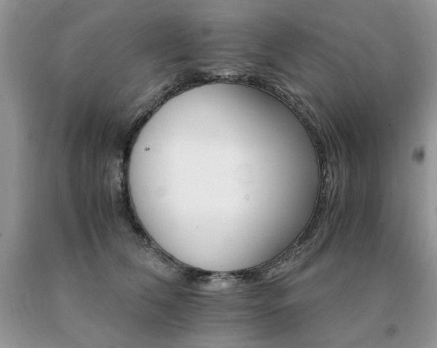 X0000091080612200708061338