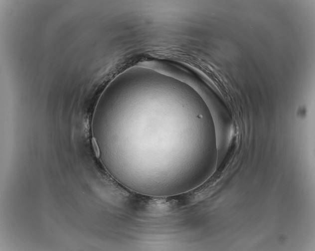 X0000091080613200708061338