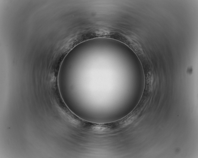 X0000091080614200708061338