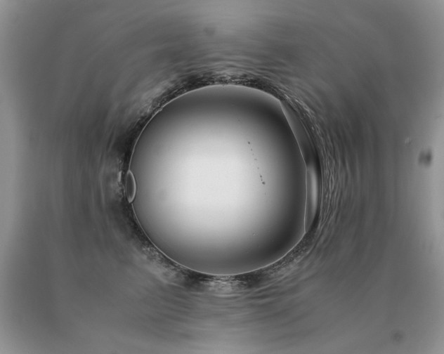 X0000091080615200708061338