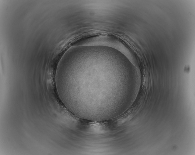 X0000091080616200708061338