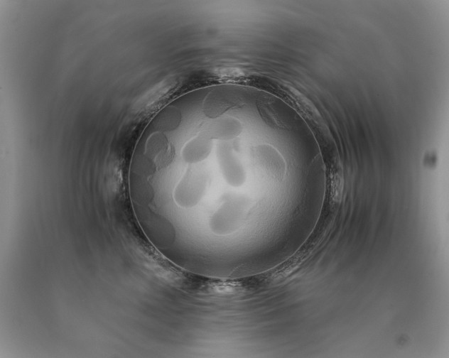 X0000091080618200708061338