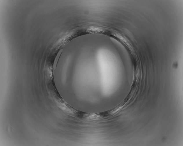 X0000091080621200708061338