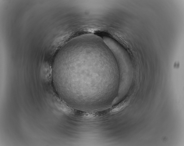 X0000091080624200708061338