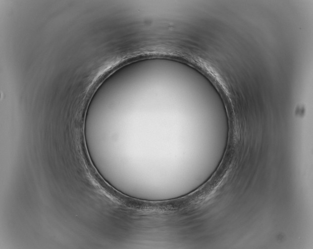 X0000091080625200708061337