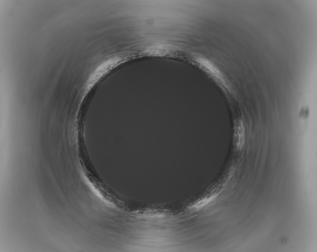 X0000091080626200708061337