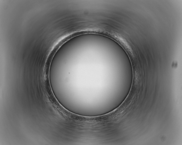 X0000091080628200708061337