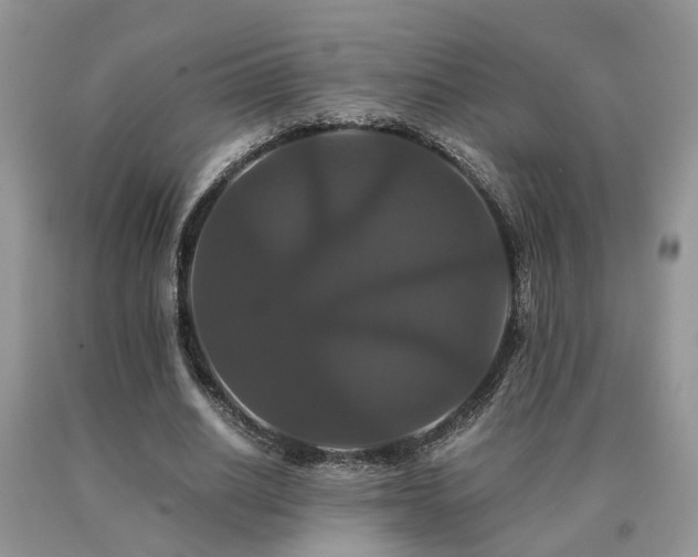 X0000091080630200708061337