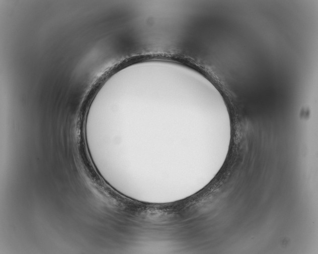 X0000091080632200708061337