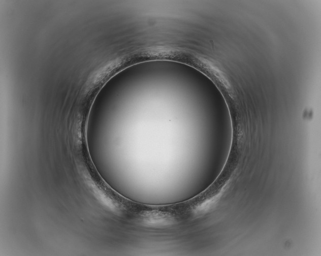 X0000091080633200708061337