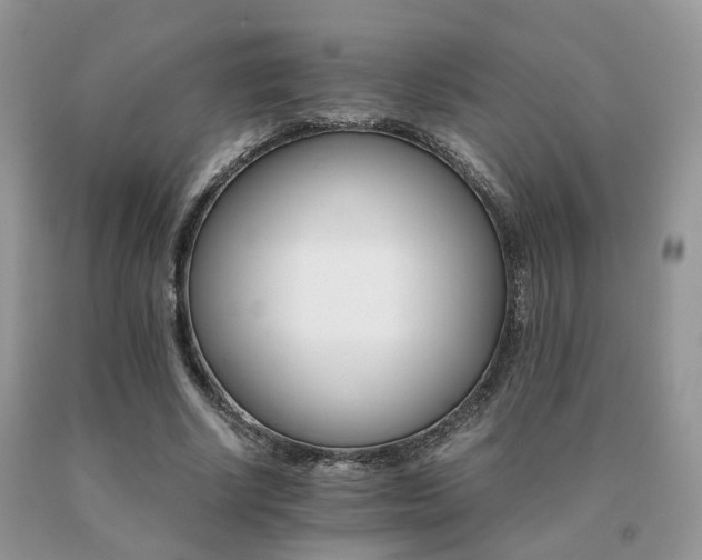 X0000091080634200708061337