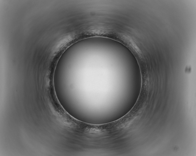 X0000091080635200708061337