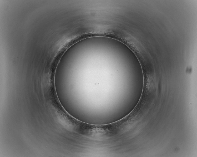 X0000091080636200708061337