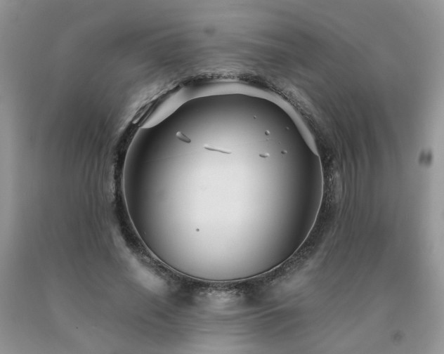 X0000091080638200708061337