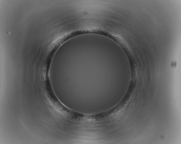 X0000091080640200708061338