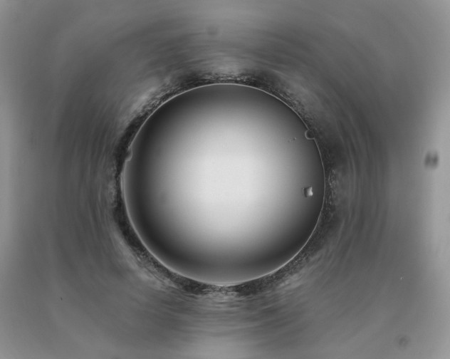 X0000091080642200708061338