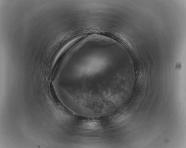 X0000091080643200708061338