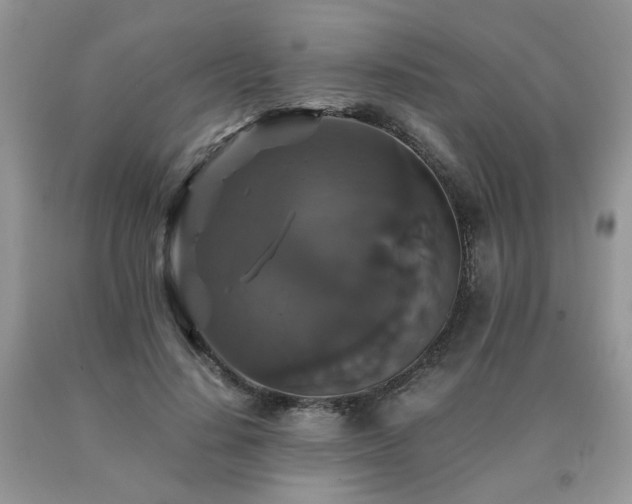 X0000091080644200708061338