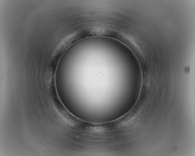 X0000091080645200708061338