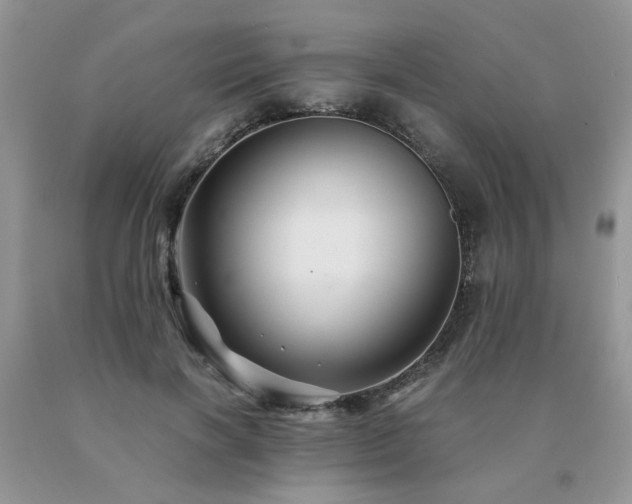 X0000091080646200708061338