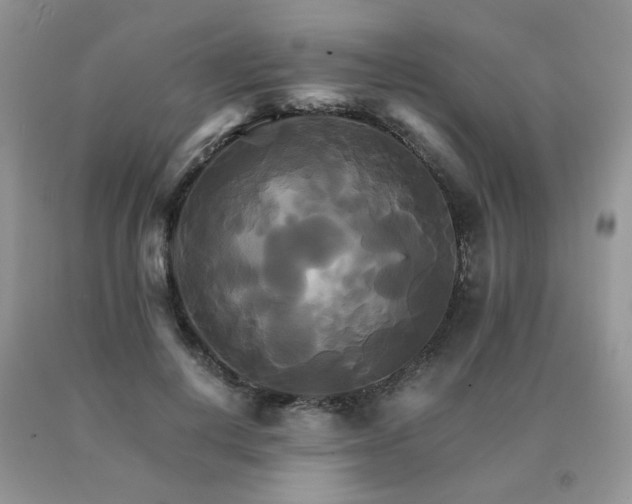 X0000091080648200708061338