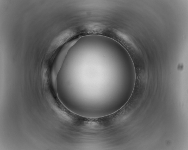 X0000091080649200708061338