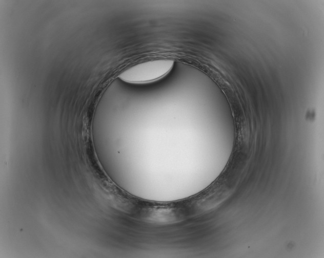 X0000091080651200708061338