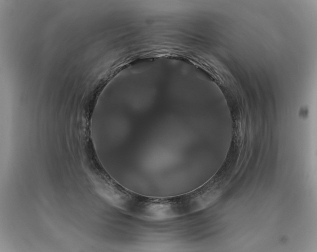 X0000091080653200708061338