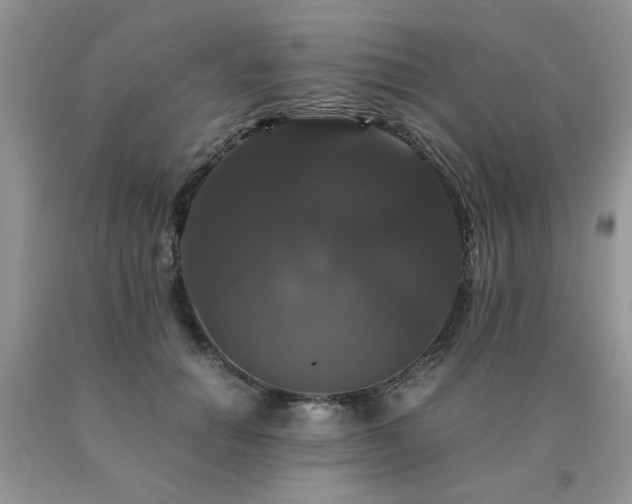 X0000091080654200708061338