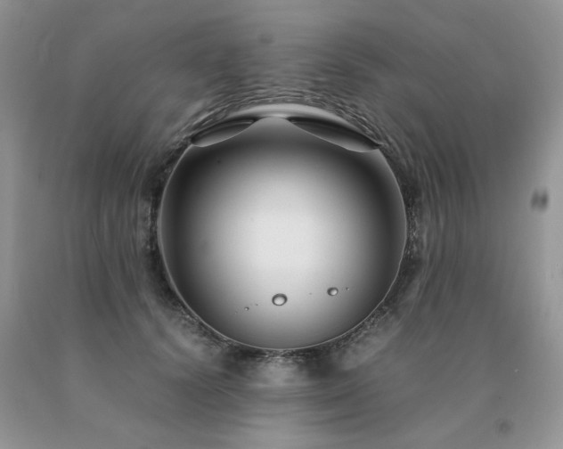 X0000091080656200708061338