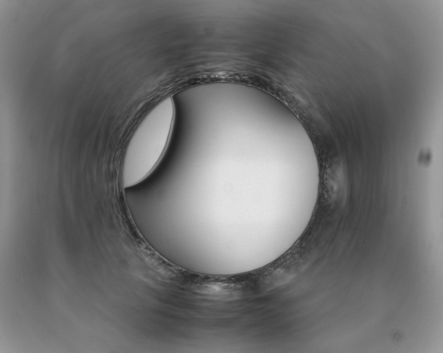 X0000091080657200708061338