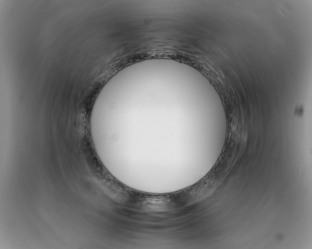 X0000091080659200708061338