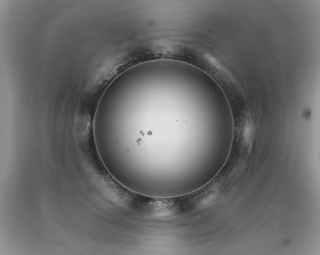 X0000091080660200708061338