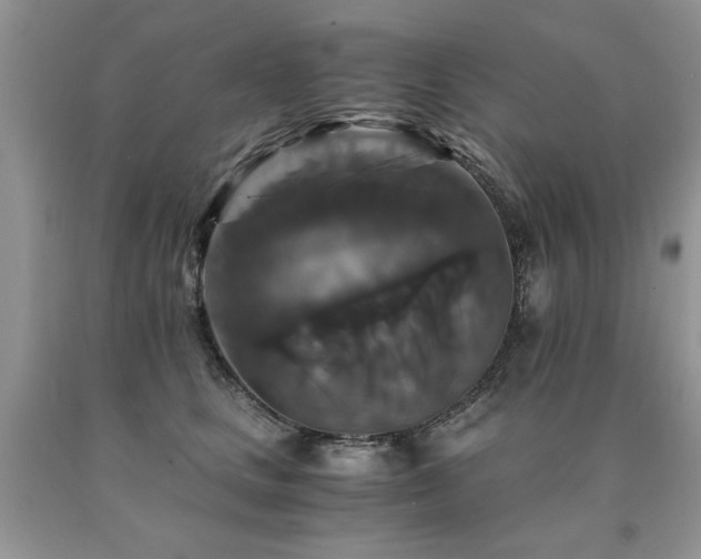 X0000091080661200708061338