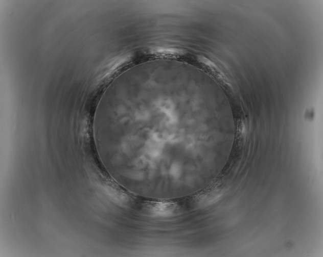 X0000091080663200708061338