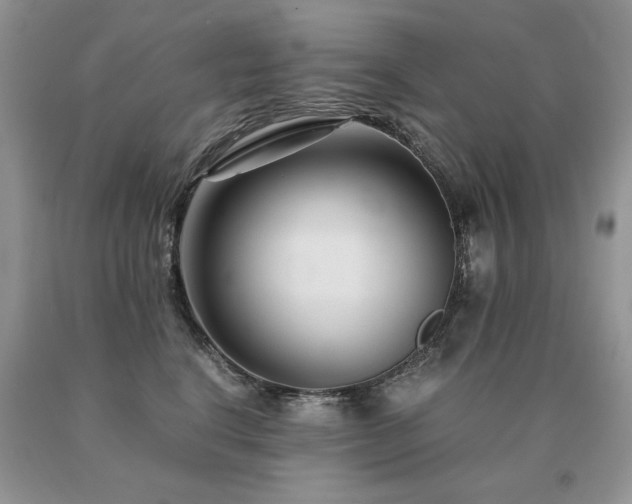 X0000091080664200708061338