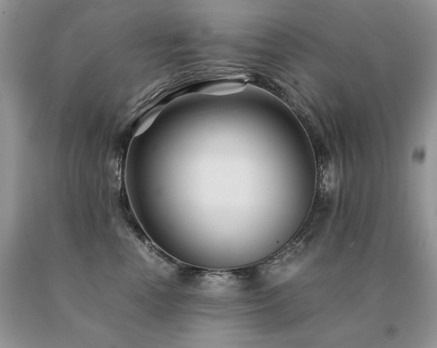 X0000091080666200708061338