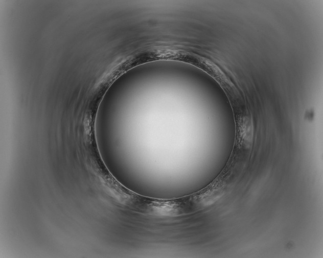 X0000091080667200708061338