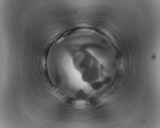 X0000091080669200708061338