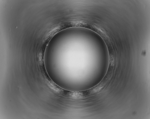 X0000091080670200708061338