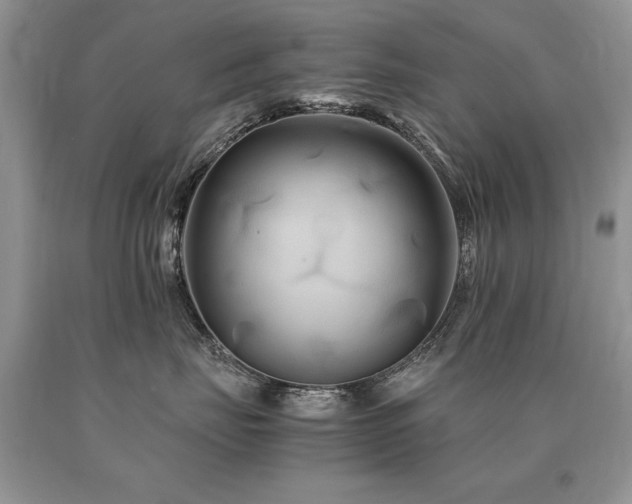 X0000091080671200708061338