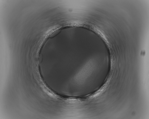 X0000091080673200708061337