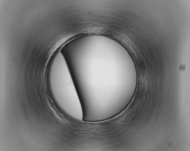 X0000091080674200708061337