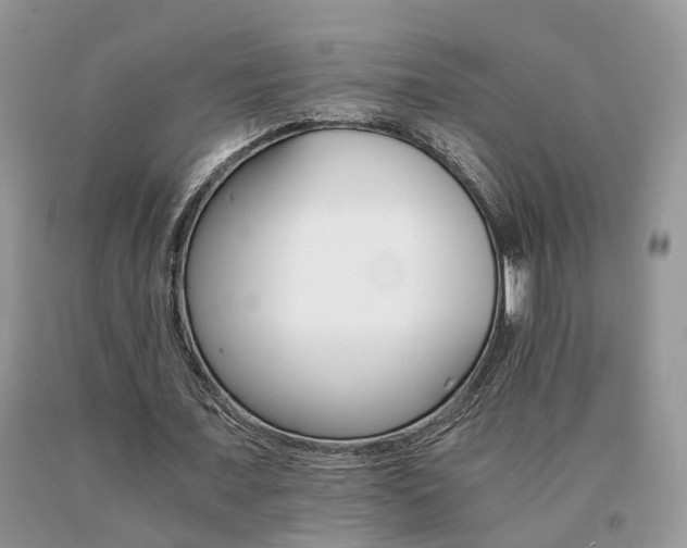 X0000091080675200708061337