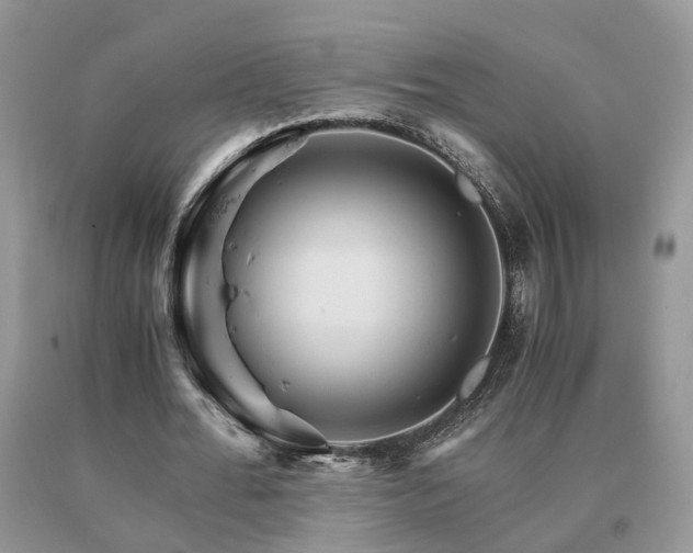 X0000091080676200708061337