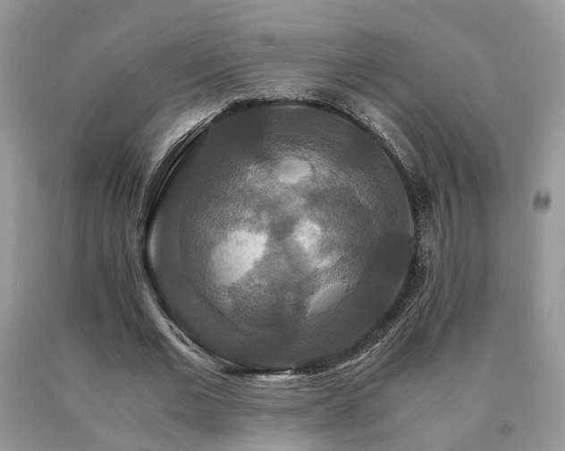 X0000091080677200708061337