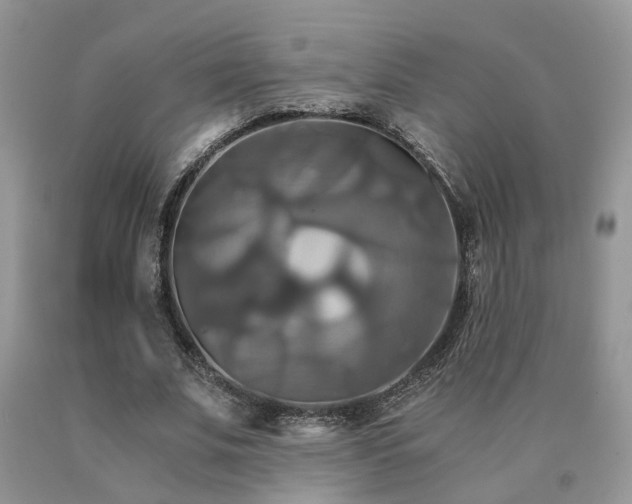 X0000091080679200708061337